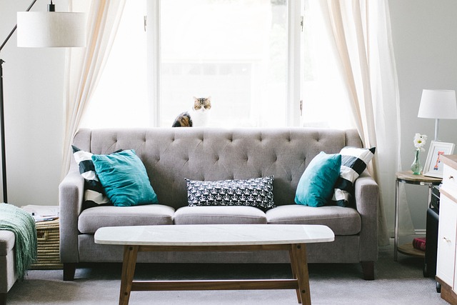 Comfortable Sleeper Sofa: The Perfect Combination of Style and Functionality